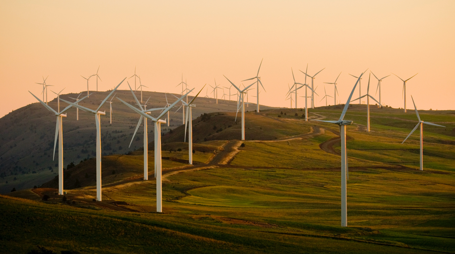 wind mill